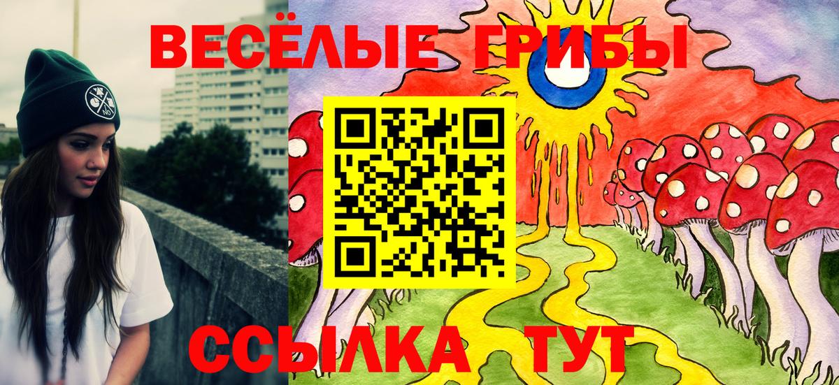 Галлюциногенные грибы Psilocybine cubensis  Галлюциногенные грибы GOLDEN TEACHER  Отрадный  Вход с VPN 