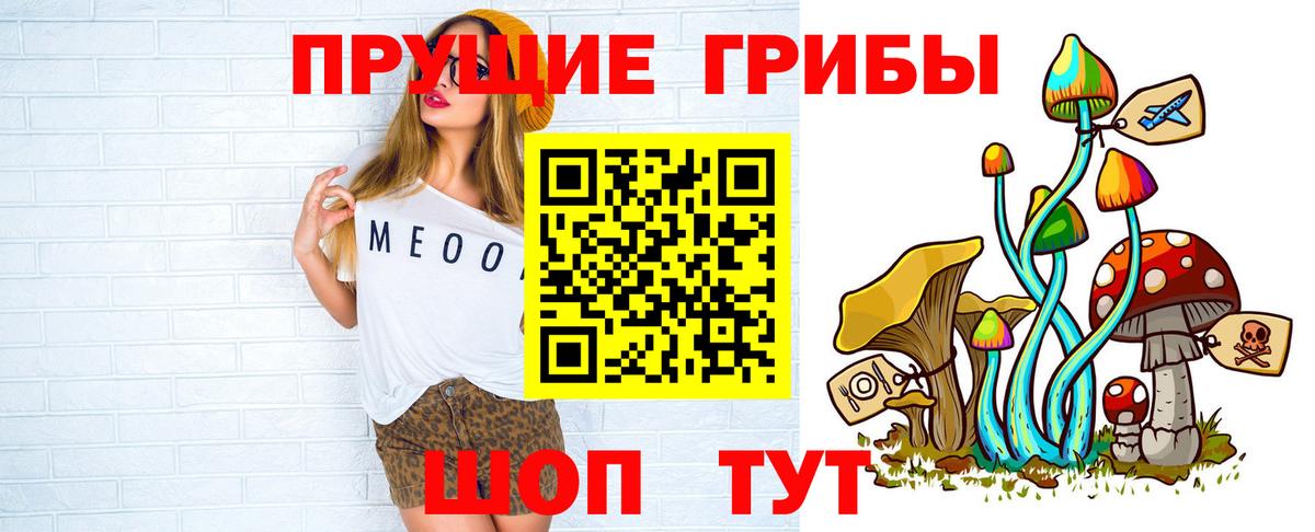 Псилоцибиновые грибы мицелий Отрадный
